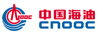 中国海油-党政政府在线培训考试系统案例